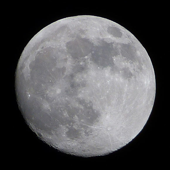 600mm, P, Spot, ISO 100, 1/320 sec., F5.2, Cropped, Resized, Sharpened